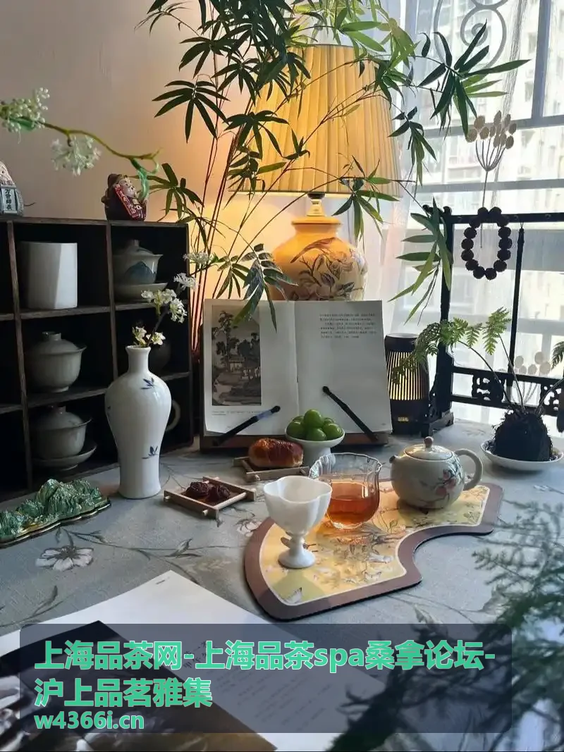 上海品茶网茶室品茶推荐封面图